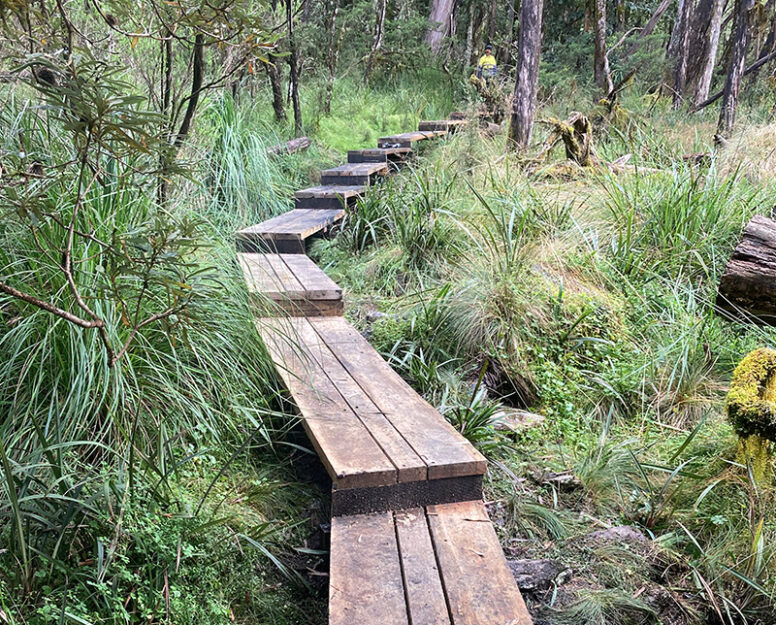 National Parks Construction and Maintenance